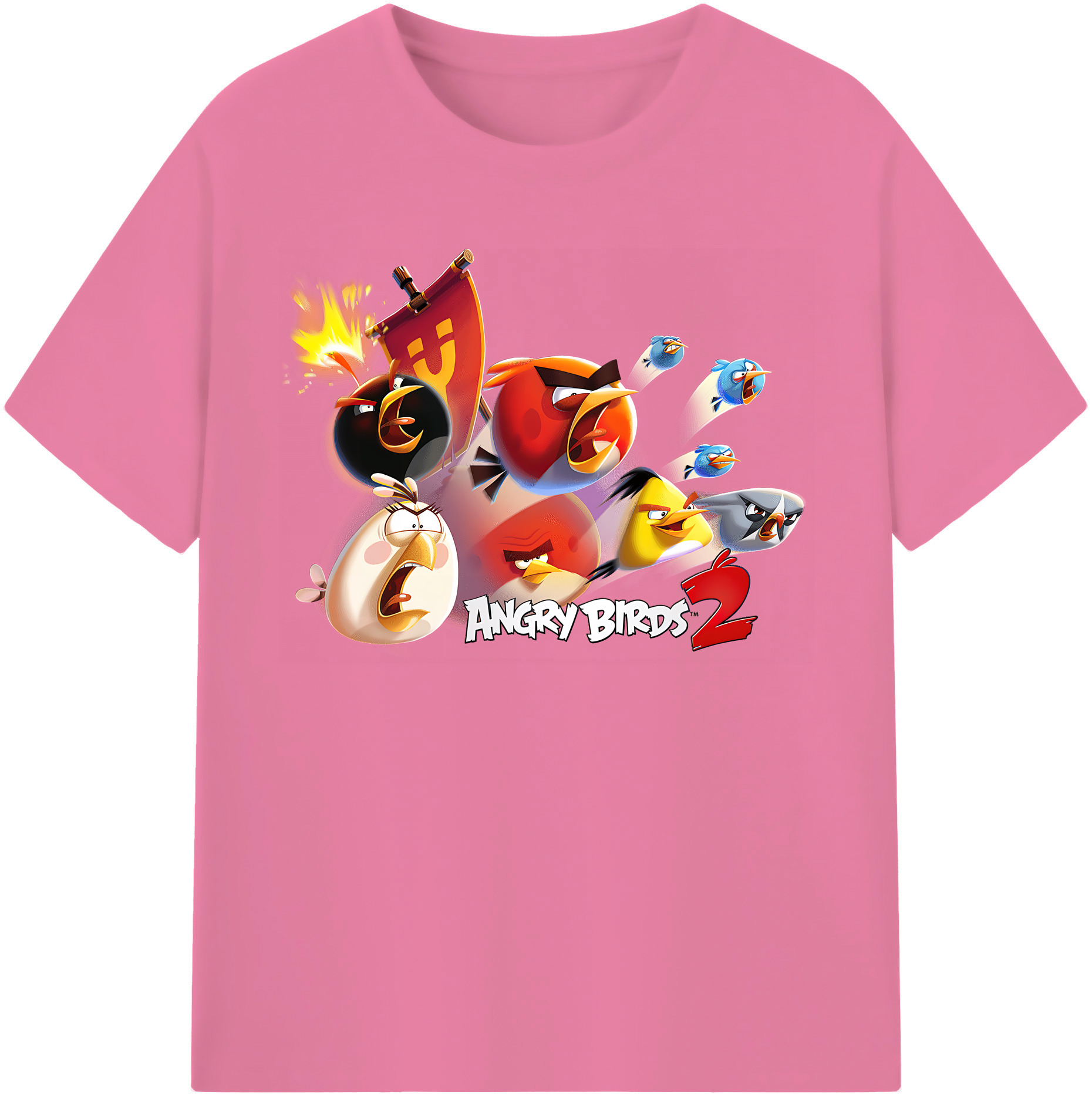 （画像用） Angry Birds アングリーバード 綿100％半袖Tシャツ（フロントプリント）